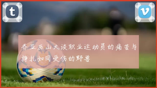 乔亚历山大谈职业运动员的痛苦与挣扎如同受伤的野兽